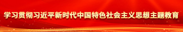 操日韩嫩逼逼学习贯彻习近平新时代中国特色社会主义思想主题教育